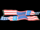 All-'Merican 20" Professional Wrist Wraps- Owner's Choice!